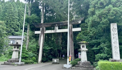 睡眠薬を飲むタイミングが重要だというのが今の所の感想だ。