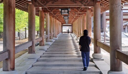 まだまだ先輩から学びたいので、戻ってくる日を勉強しながら待つのみだ。